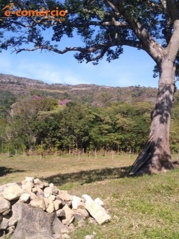 Itutinga