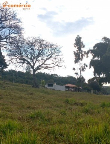 Itutinga