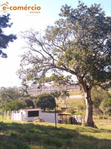 Itutinga